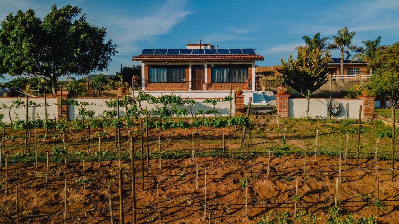 Quinta Sofia Valle De Guadalupe (Adults Only) Exteriör bild