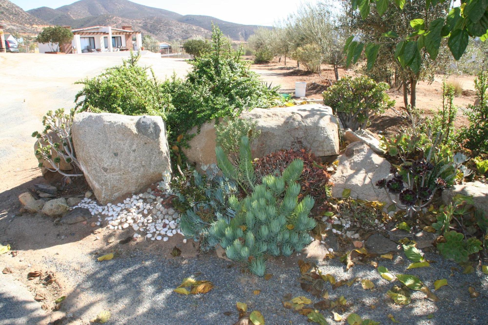Quinta Sofia Valle De Guadalupe (Adults Only) Exteriör bild