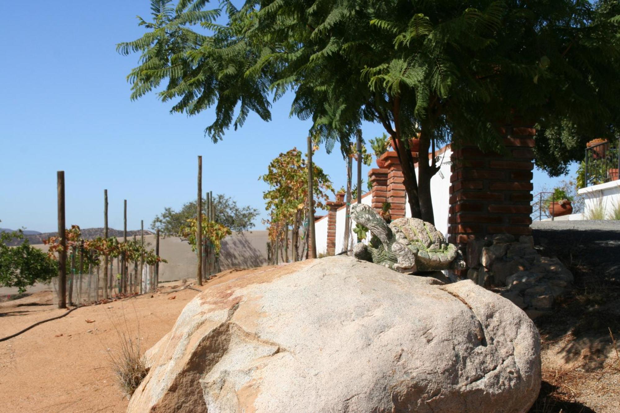 Quinta Sofia Valle De Guadalupe (Adults Only) Exteriör bild