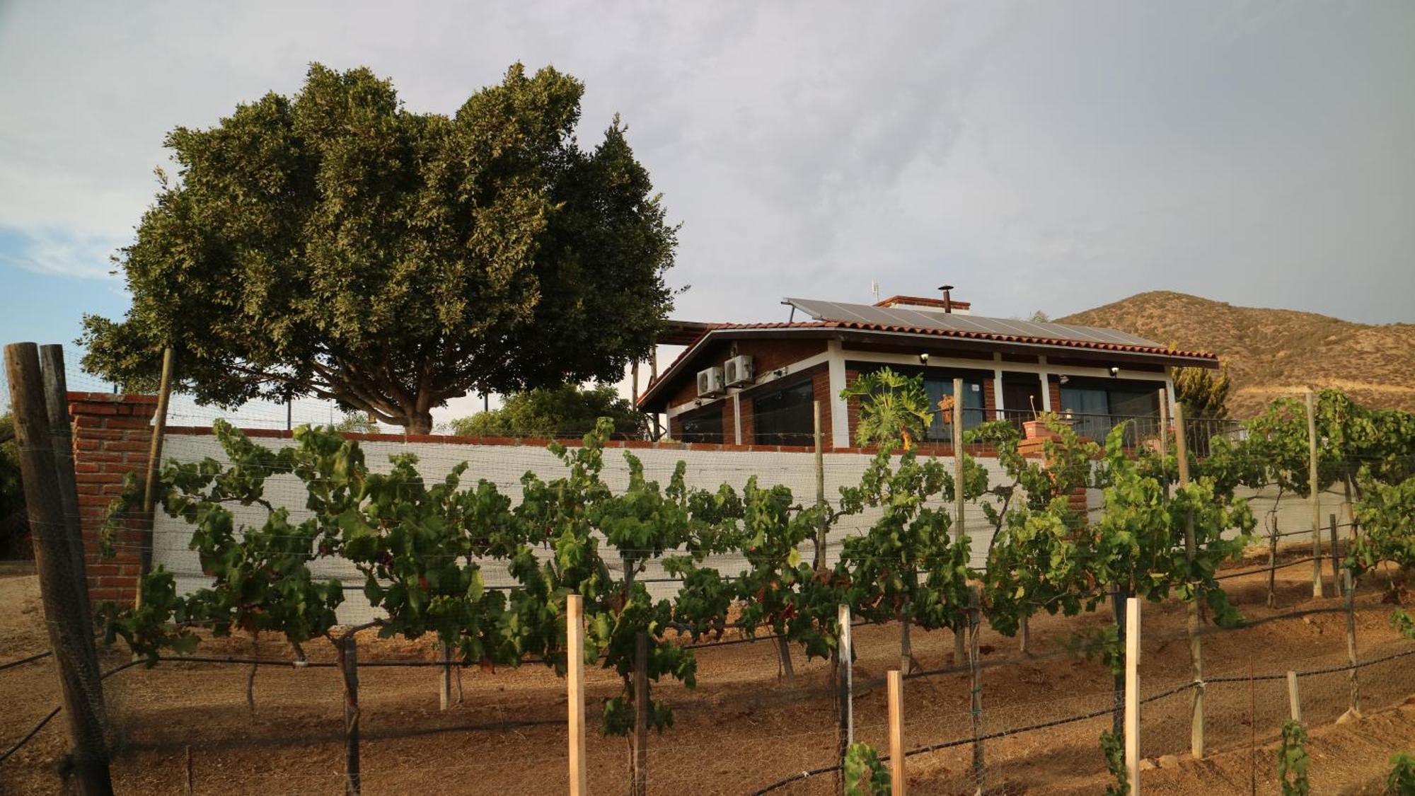 Quinta Sofia Valle De Guadalupe (Adults Only) Exteriör bild