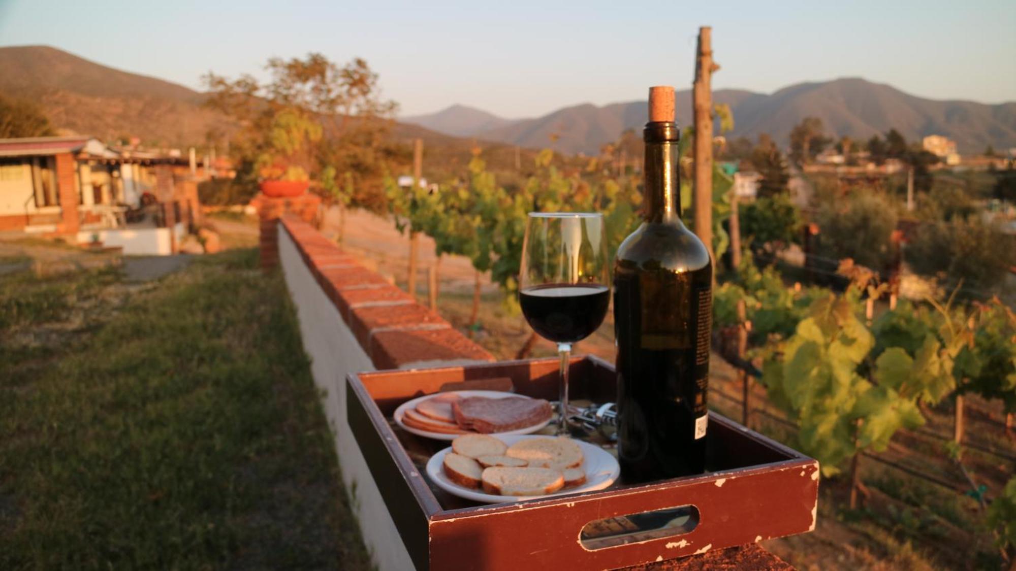 Quinta Sofia Valle De Guadalupe (Adults Only) Exteriör bild